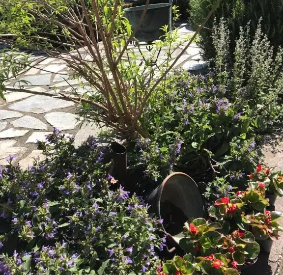 تختخواب و صبحانه B.e.a. Maison