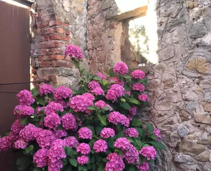 تختخواب و صبحانه B.e.a. Maison