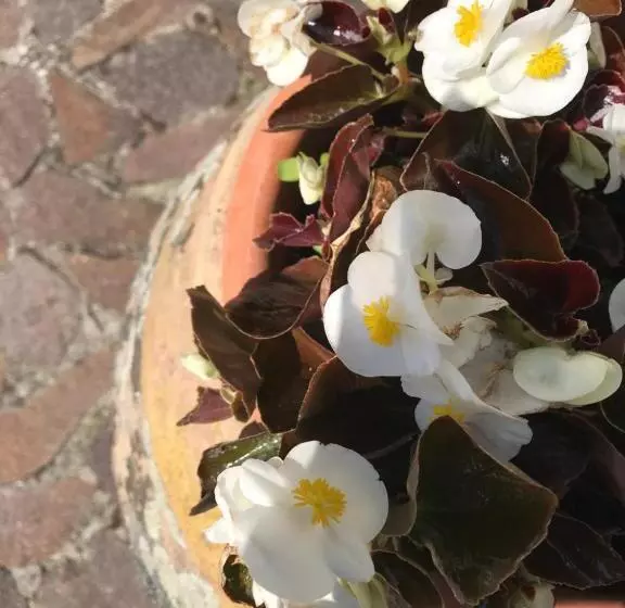 تختخواب و صبحانه B.e.a. Maison