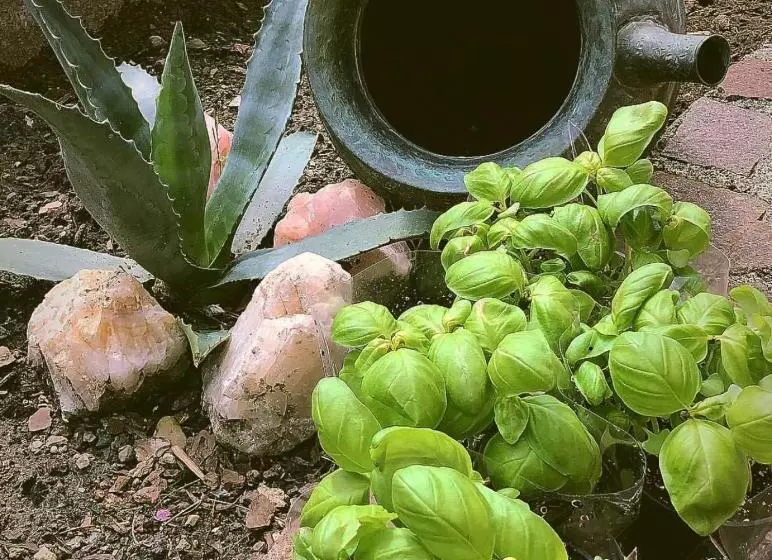 تختخواب و صبحانه B.e.a. Maison