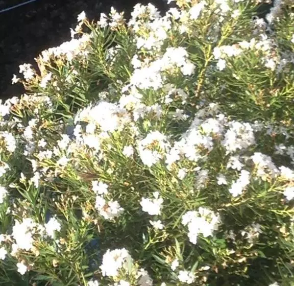 تختخواب و صبحانه B.e.a. Maison