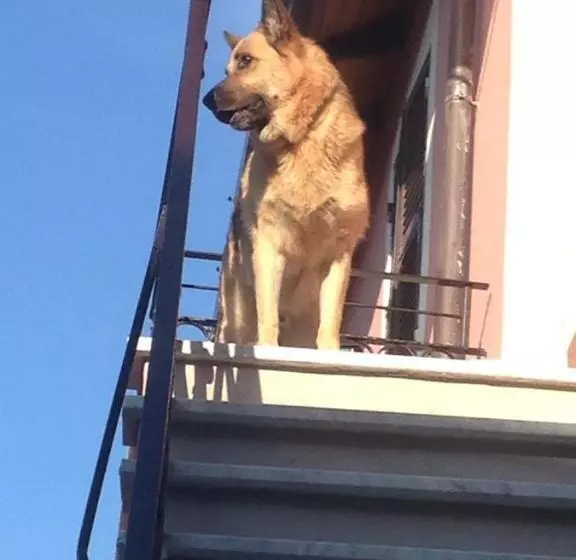 تختخواب و صبحانه B.e.a. Maison