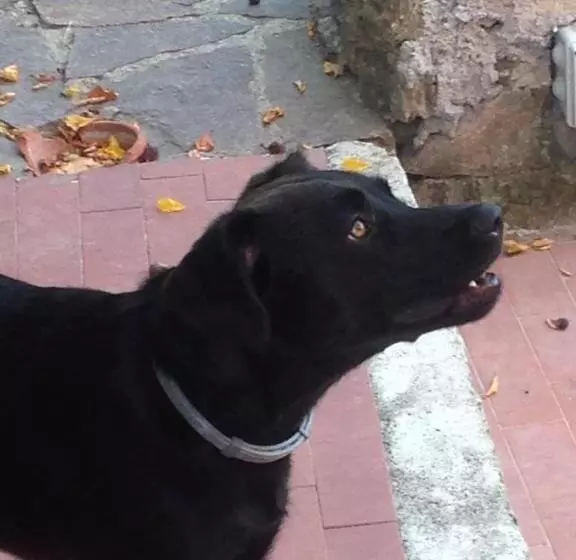 تختخواب و صبحانه B.e.a. Maison