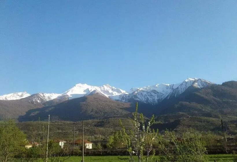 田舎風ホテル Agriturismo Agricola San Giuliano