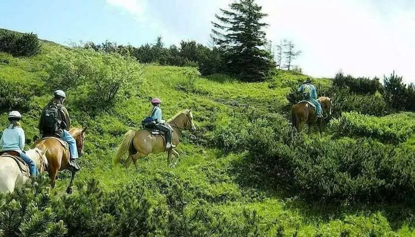 Maaseutuhotelli Ore Felici Park