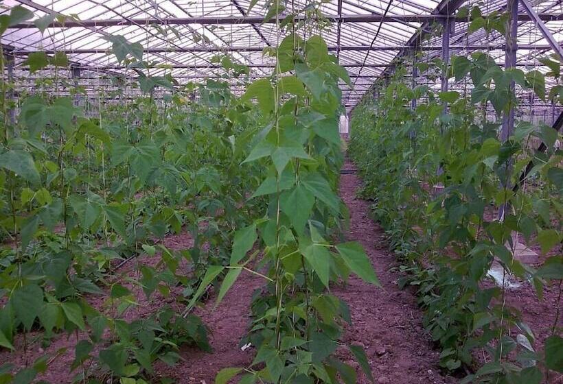 فندق Agriturismo Alba Chiara