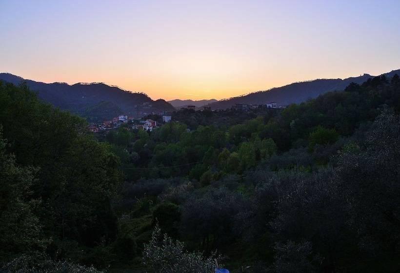 膳宿费 Luce Stellata