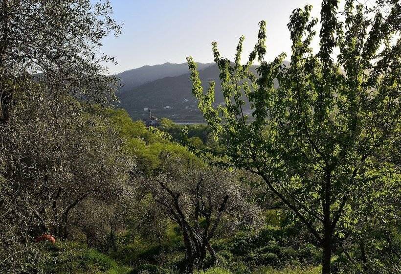 膳宿费 Luce Stellata