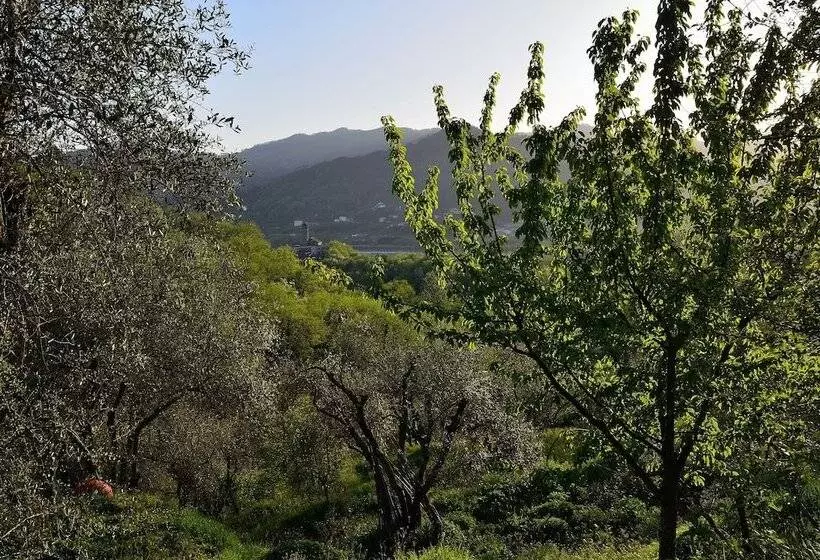 Majatalo Luce Stellata