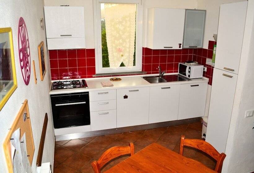 膳宿费 Luce Stellata