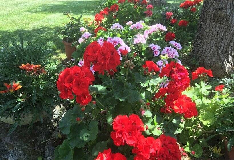 리조트 Il Girasole Country Village