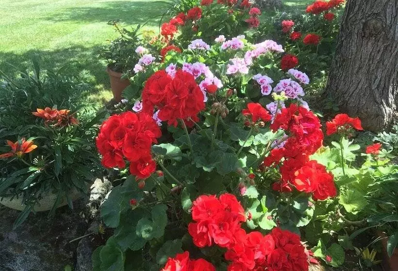 Lomakeskus Il Girasole Country Village