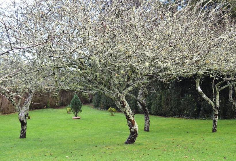 Enotel Santo Da Serra