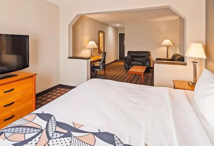 فندق Best Western Inn & Suites  Midway Airport