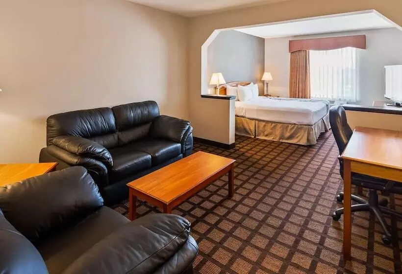 فندق Best Western Inn & Suites  Midway Airport