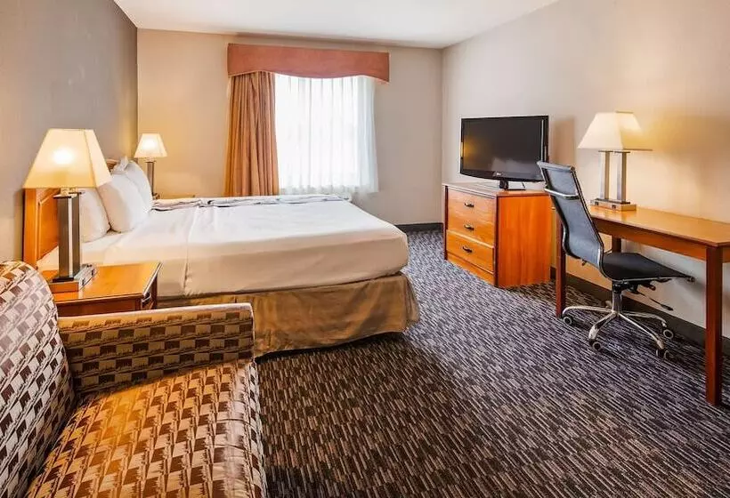فندق Best Western Inn & Suites  Midway Airport