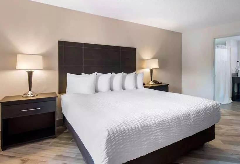 酒店 Clarion Inn & Suites Kissimmeelake Buena Vista South