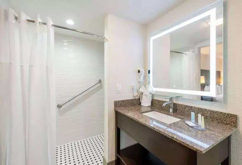 酒店 Clarion Inn & Suites Kissimmeelake Buena Vista South