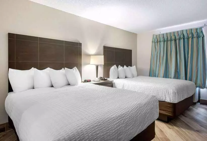 酒店 Clarion Inn & Suites Kissimmeelake Buena Vista South