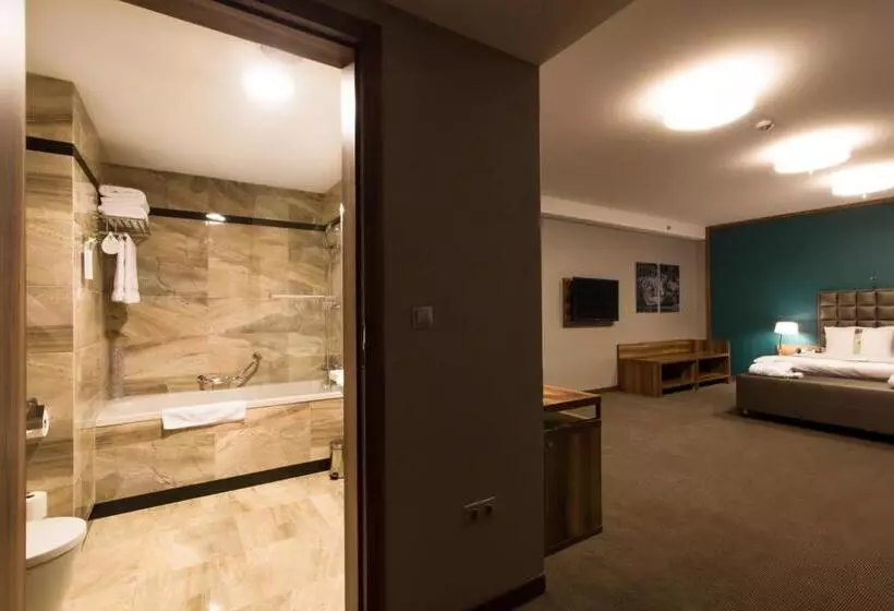 Отель Holiday Inn Krakow City Centre, An Ihg