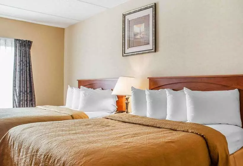 Quality Hotel & Suites At The Falls