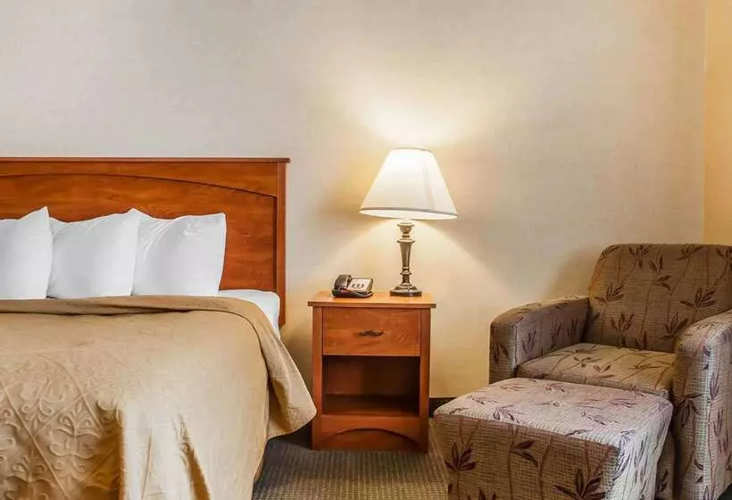 Quality Hotel & Suites At The Falls