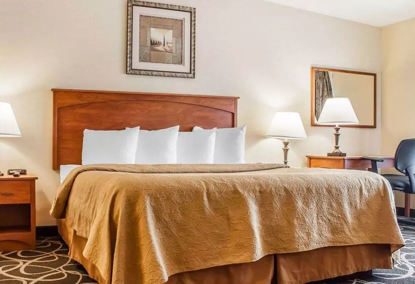 Quality Hotel & Suites At The Falls