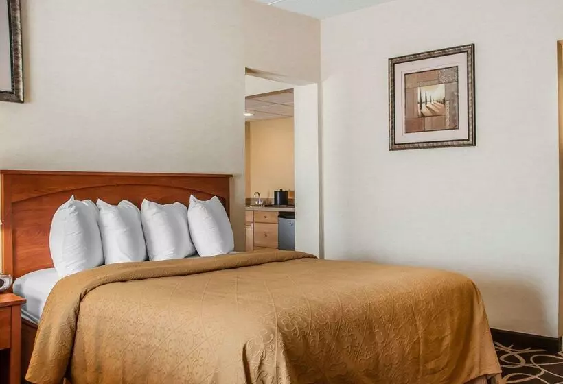 Quality Hotel & Suites At The Falls