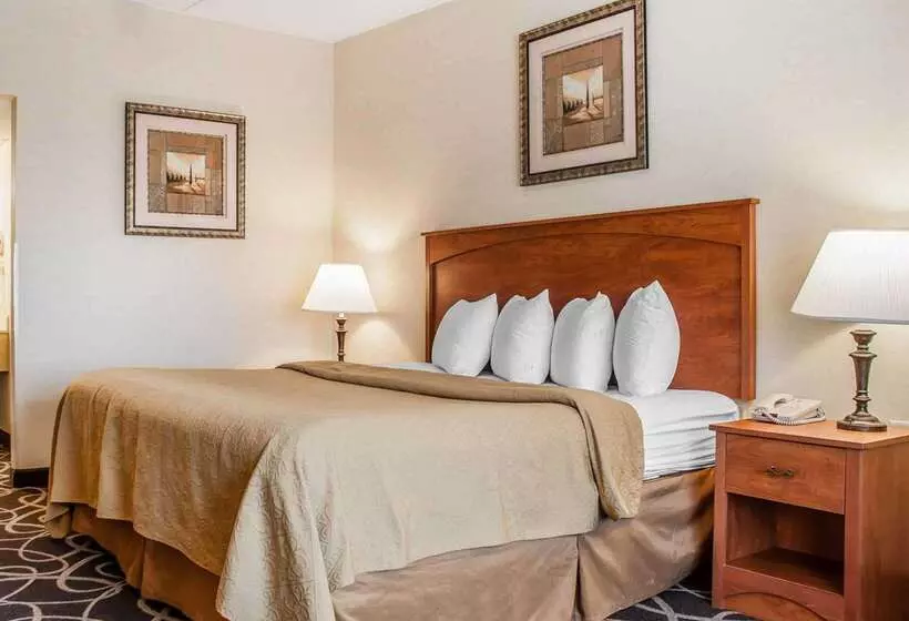 Quality Hotel & Suites At The Falls