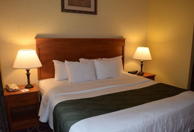 Quality Hotel & Suites At The Falls