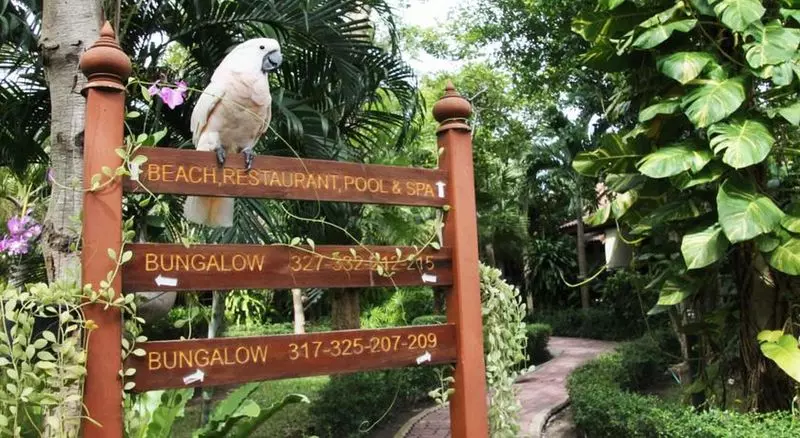 Pinnacle Samui Resort Sha Plus