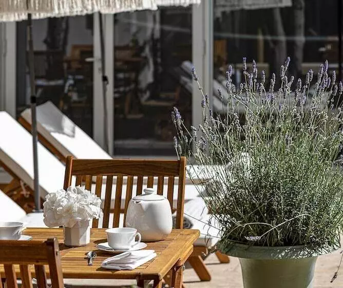 Reşedinta Maison Des Ambassadeurs