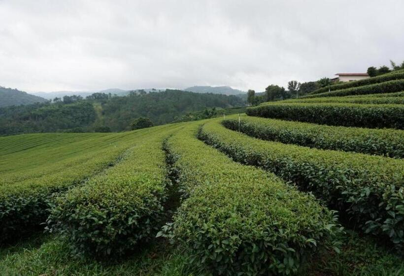 فندق 101 Tea Green View