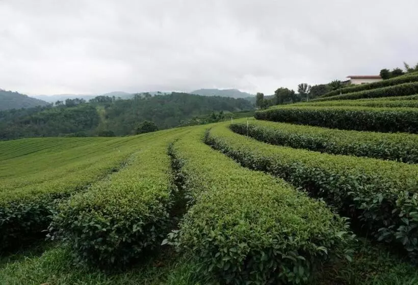هتل 101 Tea Green View