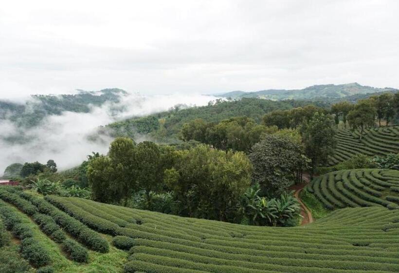 فندق 101 Tea Green View