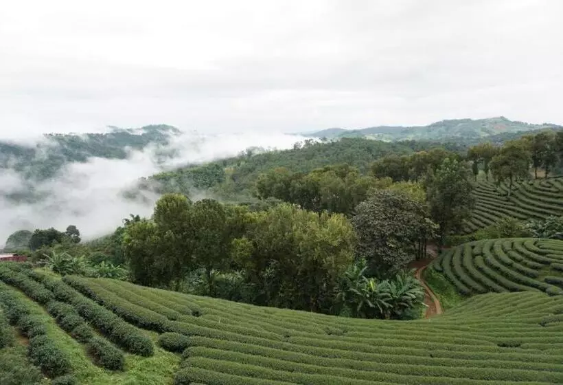 هتل 101 Tea Green View