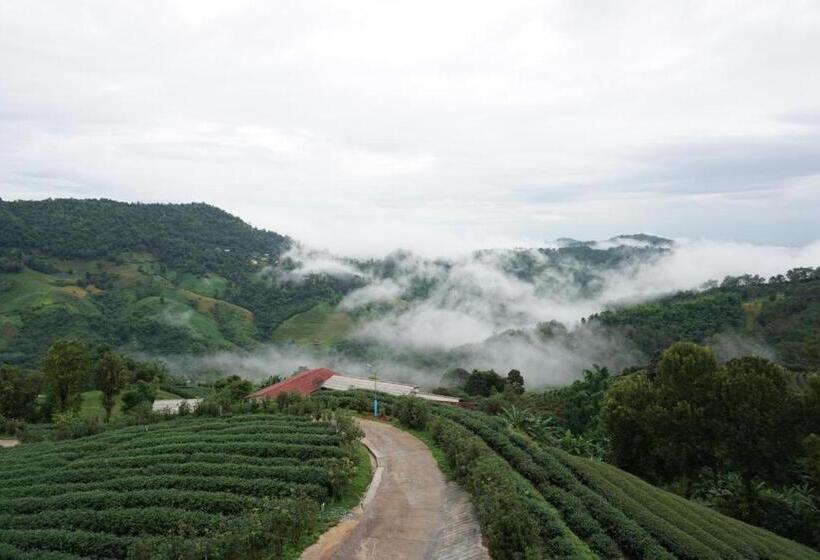 فندق 101 Tea Green View