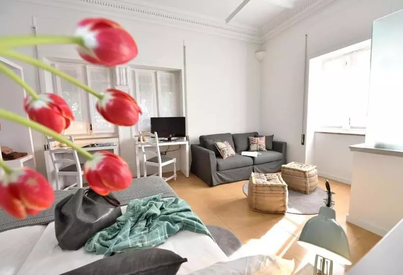 פונדק Can Carol