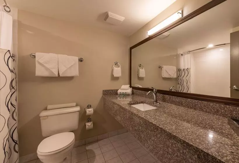 Отель Best Western Mountainview Inn