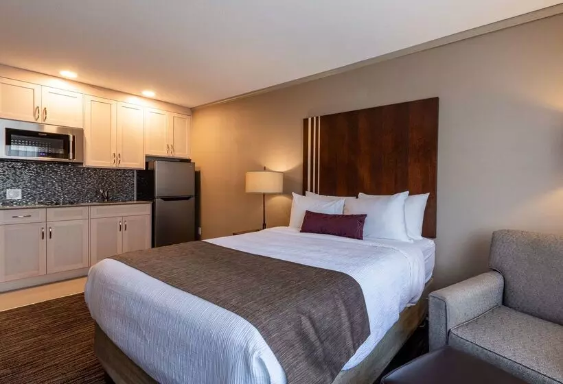 Отель Best Western Mountainview Inn