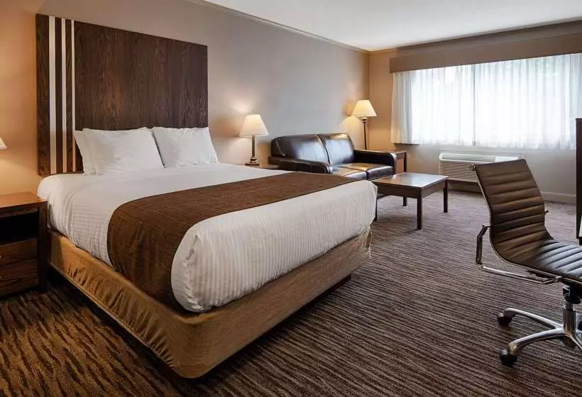 Отель Best Western Mountainview Inn