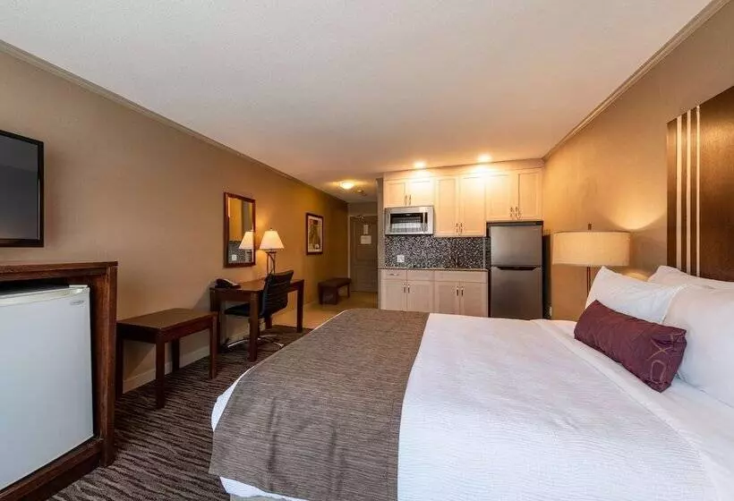 Отель Best Western Mountainview Inn