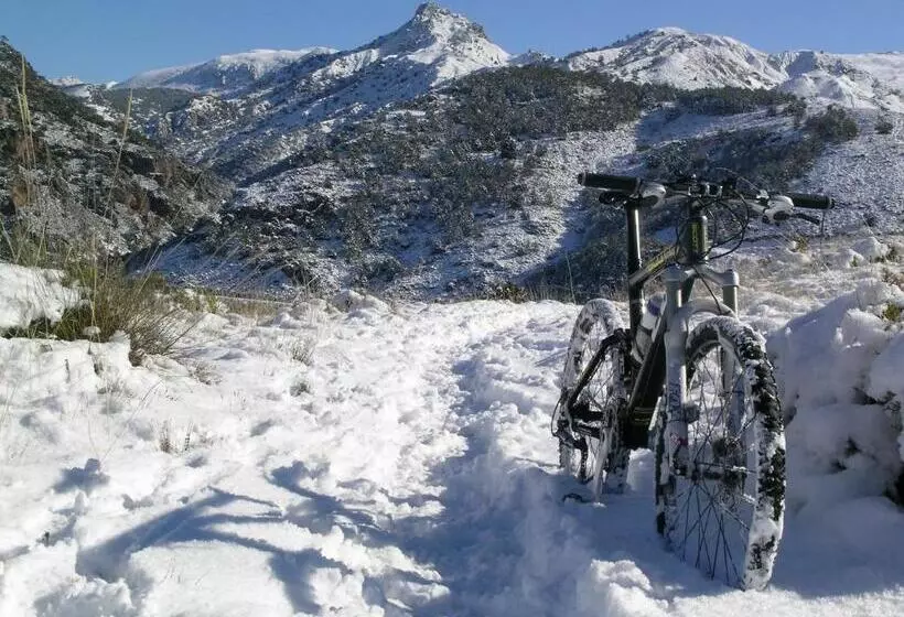 Сельский отель Rural Huerta Del Laurel