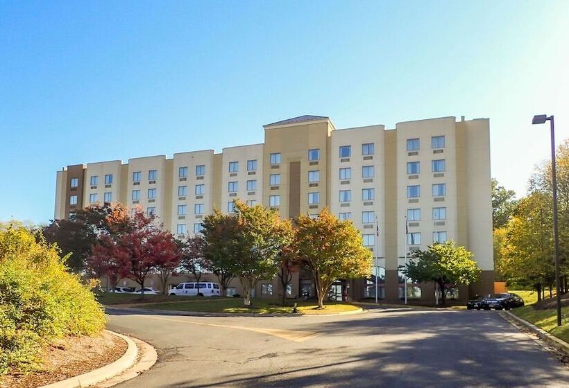 בית מלון כפרי Bwi Suites