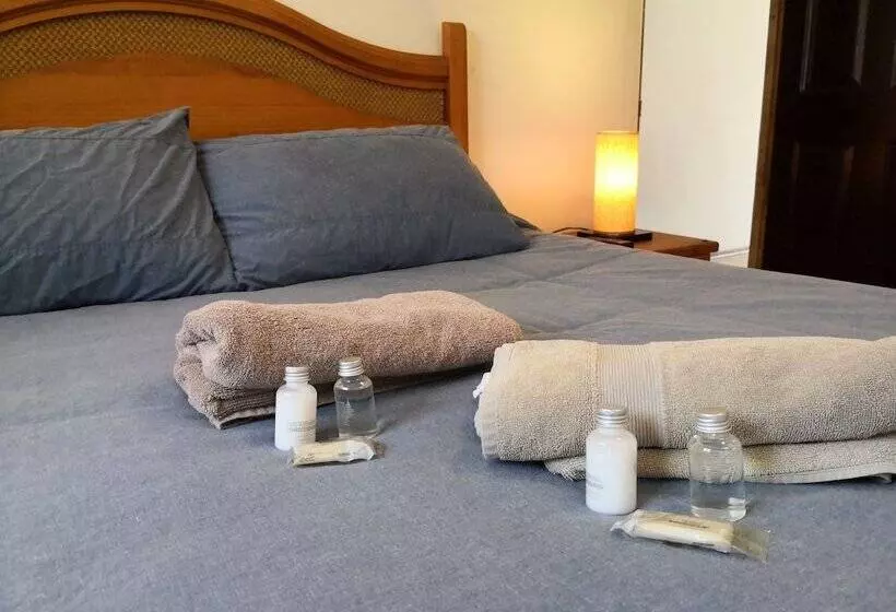 ユースホステル Hostal La Serena