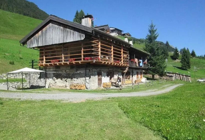 簡易ホテル Albergo Diffuso Sauris In Lateis