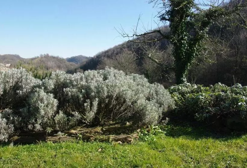 ホテル Agriturismo Corte Del Maso
