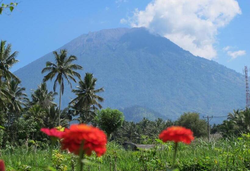 ペンション La Bila Dive Resort Amed