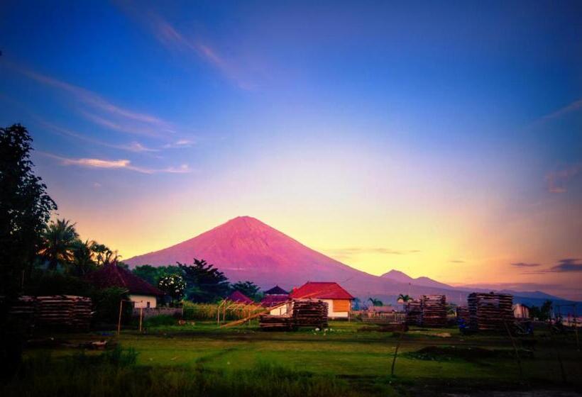 ペンション La Bila Dive Resort Amed