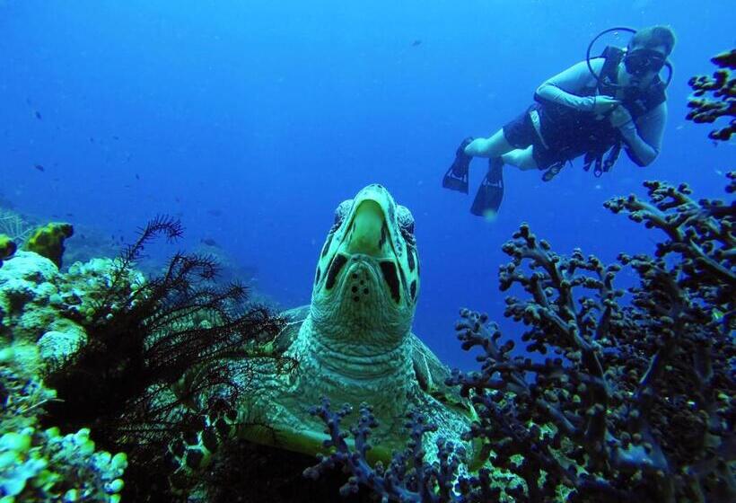 ペンション La Bila Dive Resort Amed